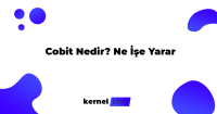 Cobit Nedir Ne İşe Yarar