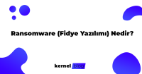 Ransomware (Fidye Yazılımı) Nedir